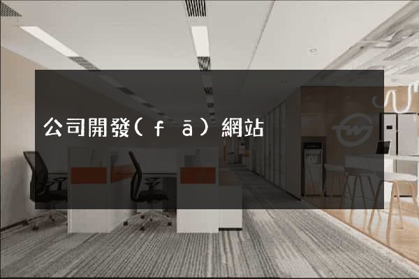公司開發(fā)網站
