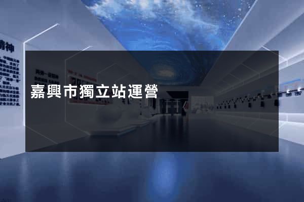 嘉興市獨立站運營