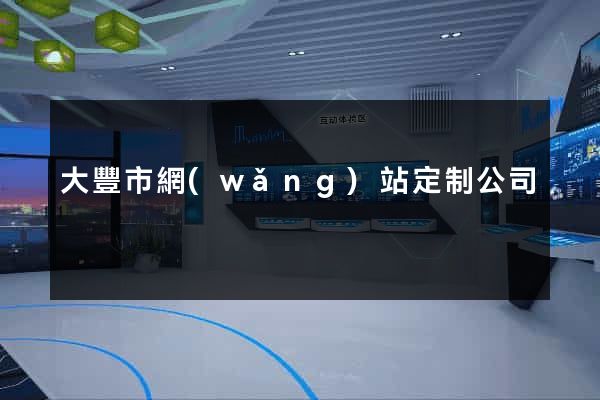 大豐市網(wǎng)站定制公司