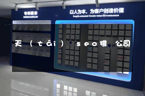 天臺(tái)縣seo推廣公司