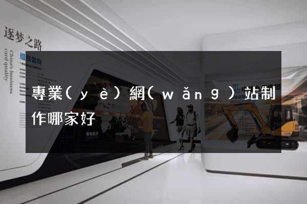 專業(yè)網(wǎng)站制作哪家好