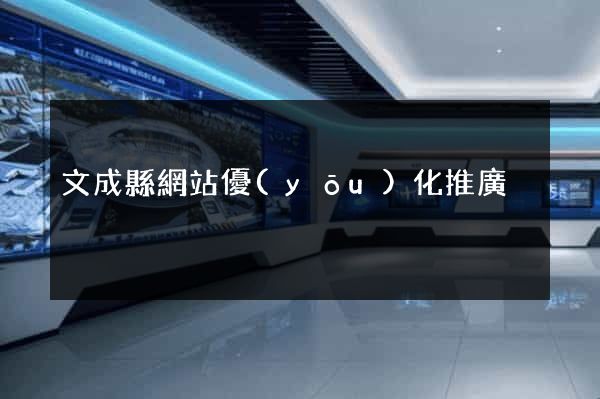 文成縣網站優(yōu)化推廣