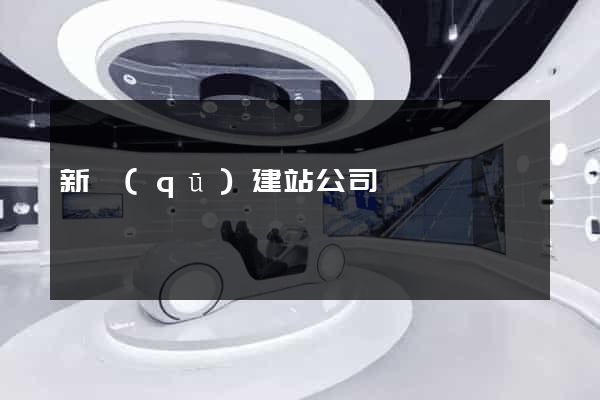 新區(qū)建站公司