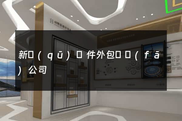 新區(qū)軟件外包開發(fā)公司