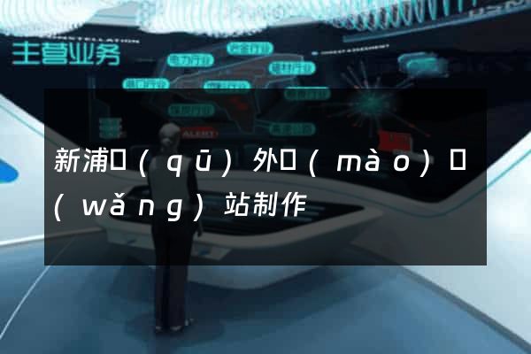 新浦區(qū)外貿(mào)網(wǎng)站制作