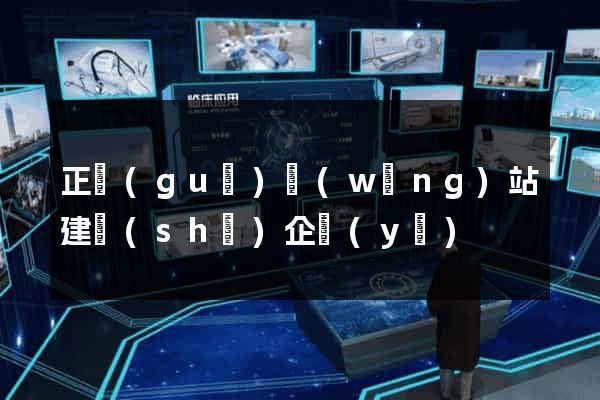 正規(guī)網(wǎng)站建設(shè)企業(yè)