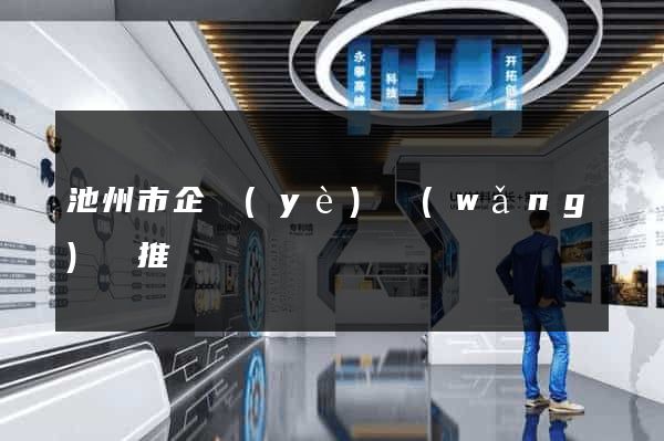 池州市企業(yè)網(wǎng)絡推廣