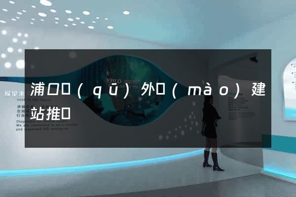 浦口區(qū)外貿(mào)建站推廣