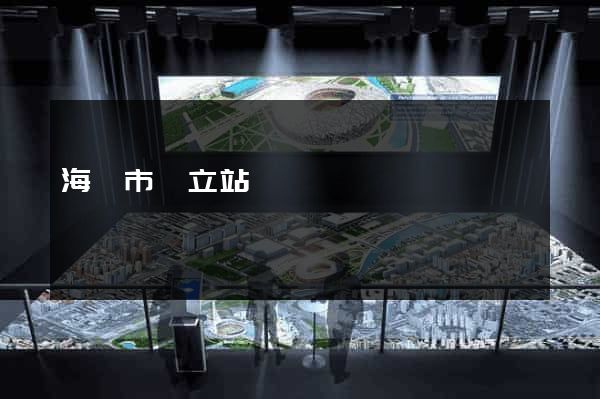 海門市獨立站運營