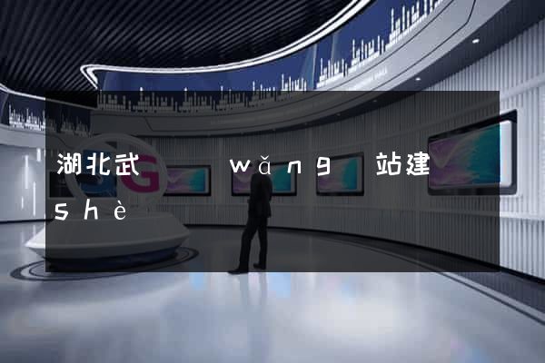 湖北武漢網(wǎng)站建設(shè)