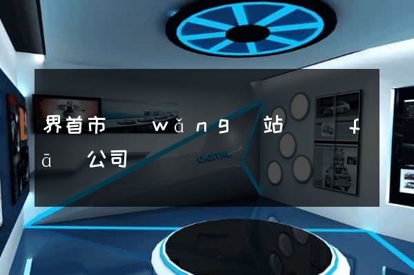 界首市網(wǎng)站開發(fā)公司