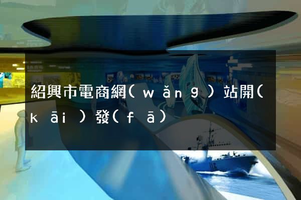 紹興市電商網(wǎng)站開(kāi)發(fā)