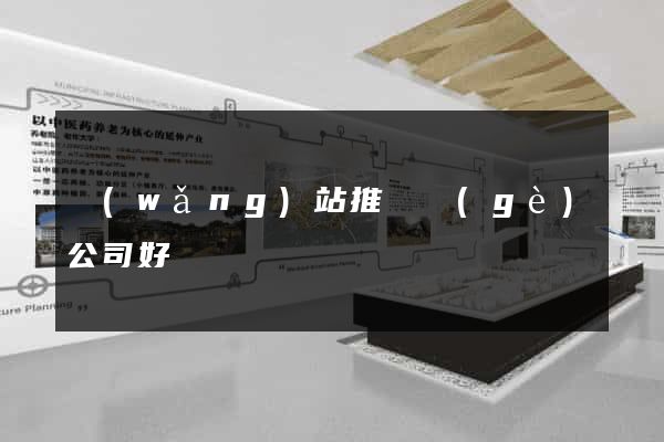網(wǎng)站推廣個(gè)公司好