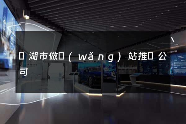 蕪湖市做網(wǎng)站推廣公司