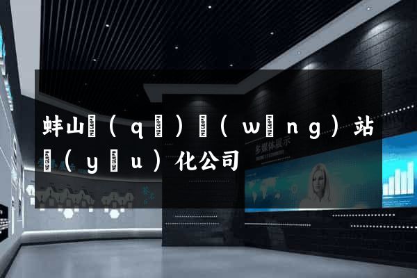 蚌山區(qū)網(wǎng)站優(yōu)化公司