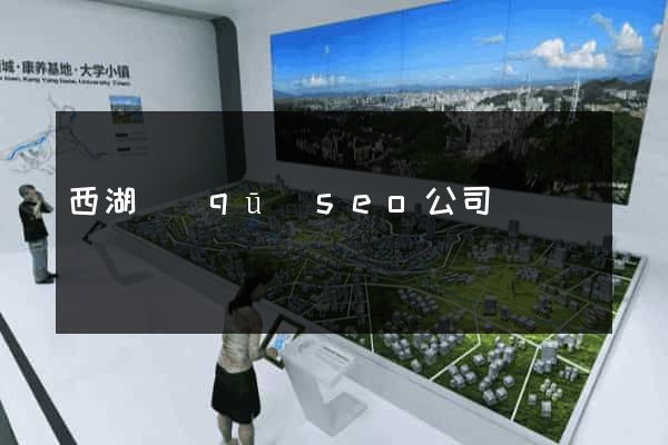 西湖區(qū)seo公司