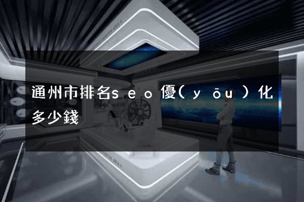 通州市排名seo優(yōu)化多少錢