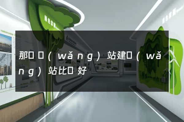 那個網(wǎng)站建網(wǎng)站比較好