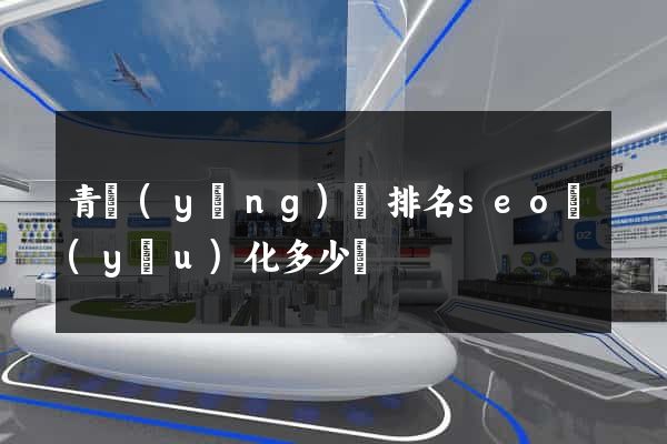 青陽(yáng)縣排名seo優(yōu)化多少錢