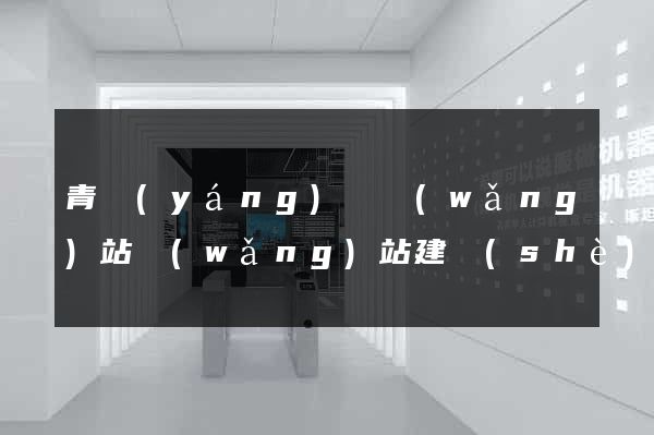 青陽(yáng)縣網(wǎng)站網(wǎng)站建設(shè)公司