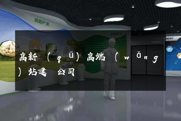 高新區(qū)高端網(wǎng)站建設公司
